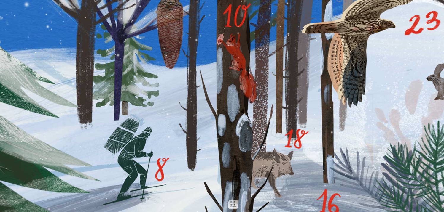 BaySFAdventskalenders